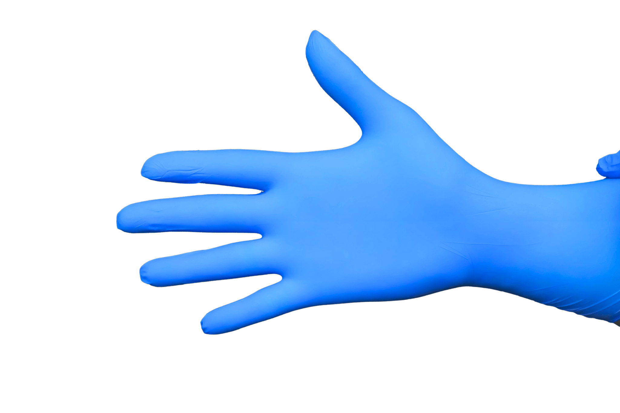 Vanguard Blue Nitrile Exam Gloves, Powder-Free (case of 1000)
